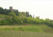 Vineyards among turreted walls: the ancient town of Soave